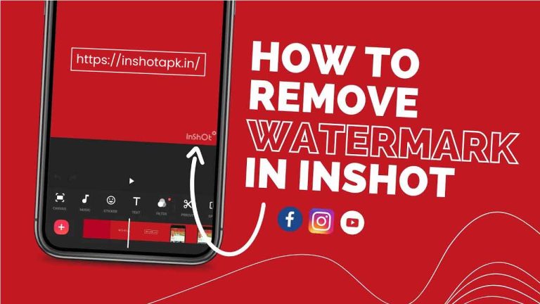 How to Remove Watermark in InShot Pro
